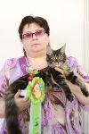 My Cat's Cradle Pretty - Best Kitten